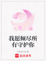 我愿倾尽所有去爱你小说