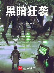 黑暗狂袭老子就是无敌小说