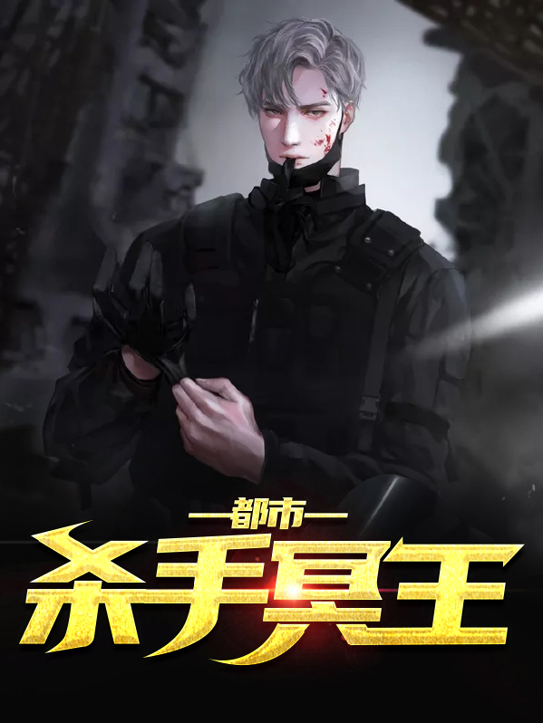 一个杀手叫冥王的小说