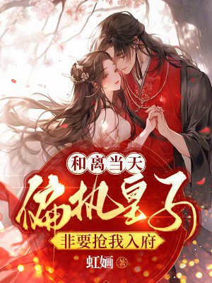 和离当天偏执皇子非要抢我入府
