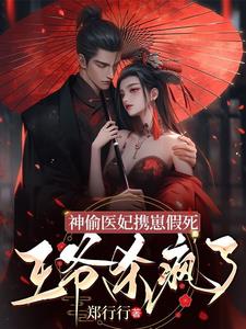 神偷医妃邪王傲娇宠免费阅读