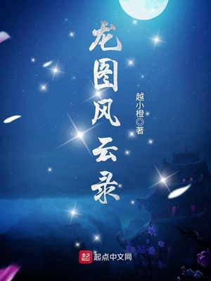 龙图奇案录评书