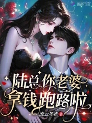陆总,你老婆拿钱跑路啦免费阅读
