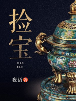捡宝王小涛全文免费阅读