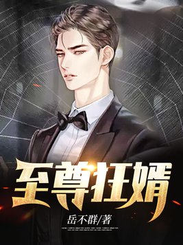 至尊狂婿