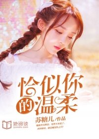 恰似你的温柔小说