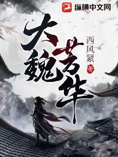 大魏芳华纵横中文