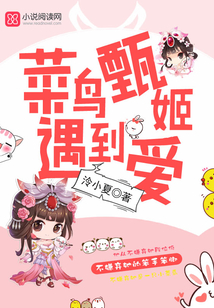 菜鸟甄姬遇到爱