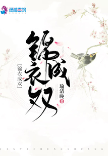 锦衣成双好看吗