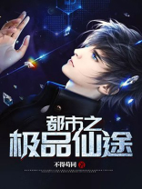 都市极品仙婿全文免费