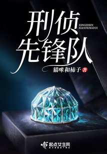 刑侦中队