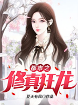 都市之修真狂龙