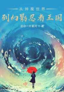 乐高幻影忍者：且行且随风