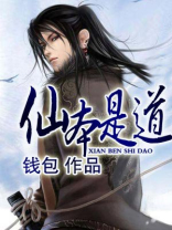 仙凡本道 小说
