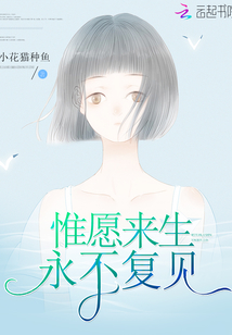 惟愿来生永不复见