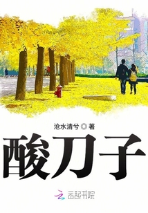 酸刀子