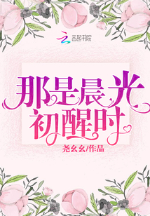 晨光初起的意思