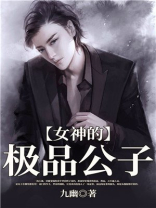 女神的极品公子全本下载