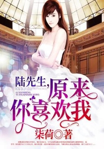 陆先生我不爱你了