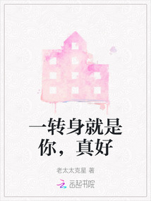 歌词一转身就是一生