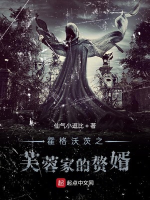 霍格沃伊之芙蓉家的赘婿
