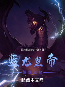 蓝龙的小说