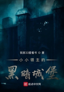 小小领主的黑暗城堡TXT下载八零电子书