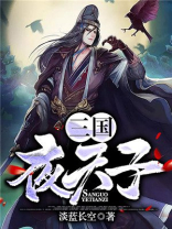 三国夜天子 小说