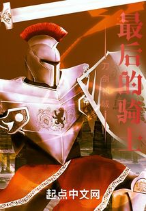 最后的骑士电影