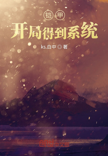 铠甲开局最后娶了系统的小说