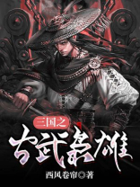 三国之武盖