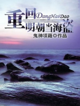 穿越明朝当海盗的小说