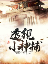 透视小神捕