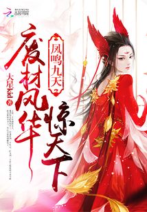 凤鸣九天小说免费阅读