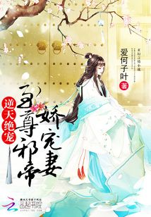 逆天绝宠:至尊邪帝娇宠妻 小说