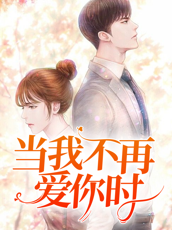 当我不再爱你时小说免费阅读