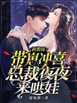 新婚总裁宠妻狂魔