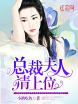 总裁夫人要上天小说全文免费阅读