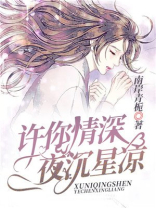 许你情深夜沉星凉小说