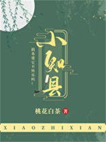 小知县 小说