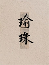 瑜珠小说免费阅读讲的什么