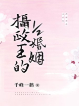 摄政王的1.2婚姻