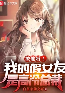 被催婚!我的假女友是高冷总裁笔趣阁