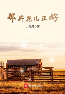 《那片花儿那片海》
