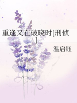 重逢又在破晓时[刑侦] 百度网盘