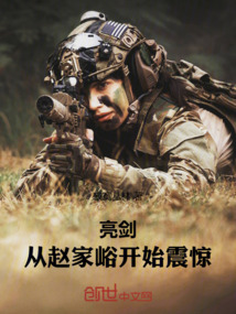 亮剑偷袭赵村家视频