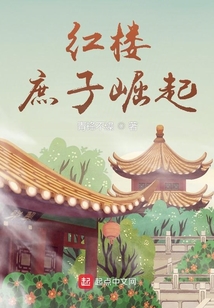 红楼:庶子崛起TXT下载
