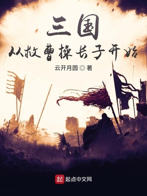 三国从救曹操长子开始女主是谁啊