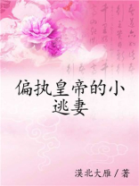 偏执帝王的宠爱(穿越)