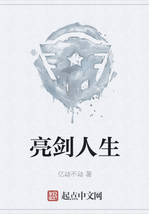 亮剑人生TXT